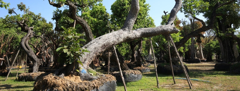 Thaïlande… prête pas prête, j’y vais!