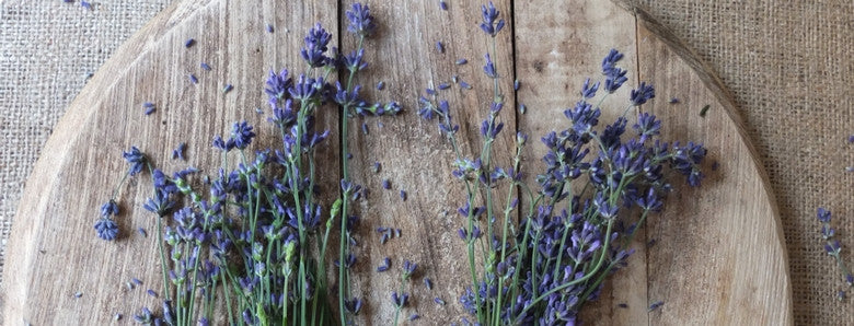 Drying Herbs